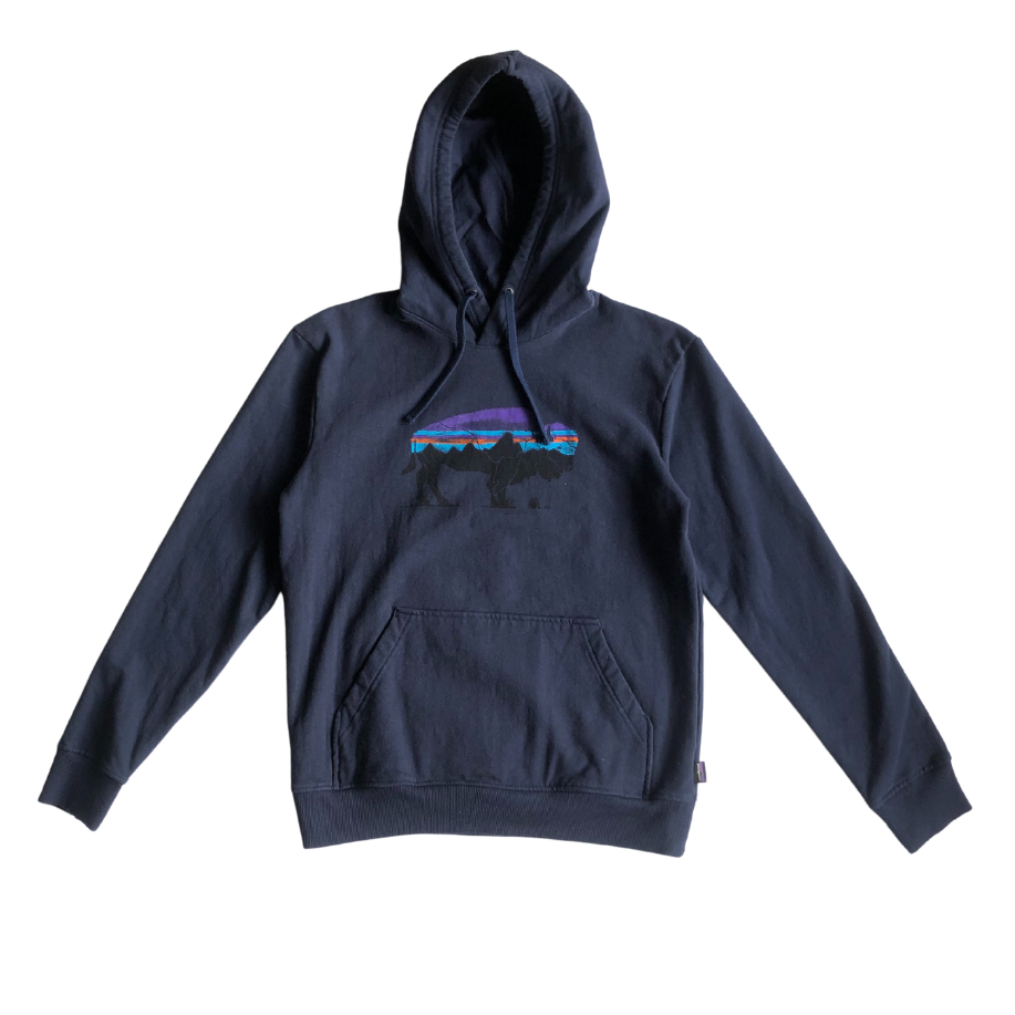 Patagonia Hoodie